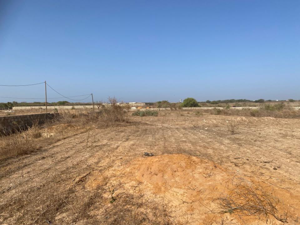 48 terrains à vendre – Toubab Dialao, à 5 min du Port de Ndayane